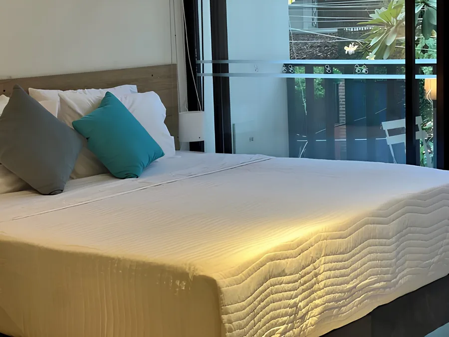 Suite Ejecutiva con Balcón